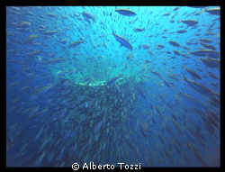 Explosion in front of the Thistlegorm bow by Alberto Tozzi 